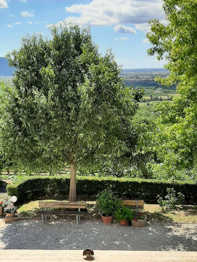 Villa Il Castagneto Teolo Exterior foto